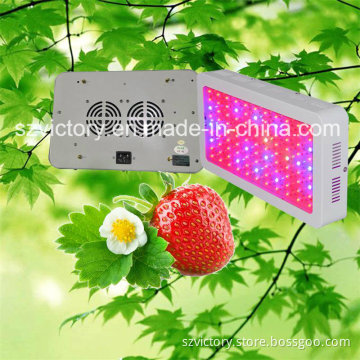 White 300W LED Plant Light for Greenhouse